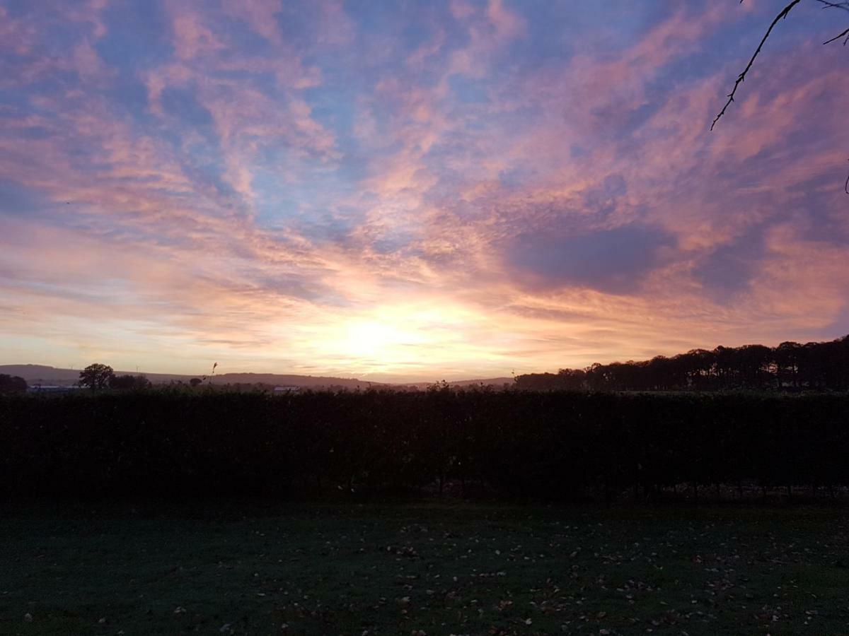 Moorepark West House Fermoy Esterno foto